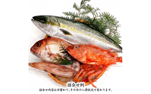 石川県・加賀市 旬の鮮魚 ( 刺身用/下処理済 ) 詰合せ 4～5種 F6P-0974