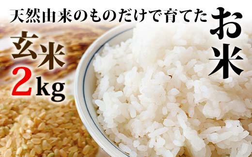 天然由来のものだけで育てたお米 2kg 玄米 お米 米 国産米 ギフト 贈り物  グルメ 食品 国産 復興 震災 コロナ 能登半島地震復興支援 北陸新幹線 F6P-1806