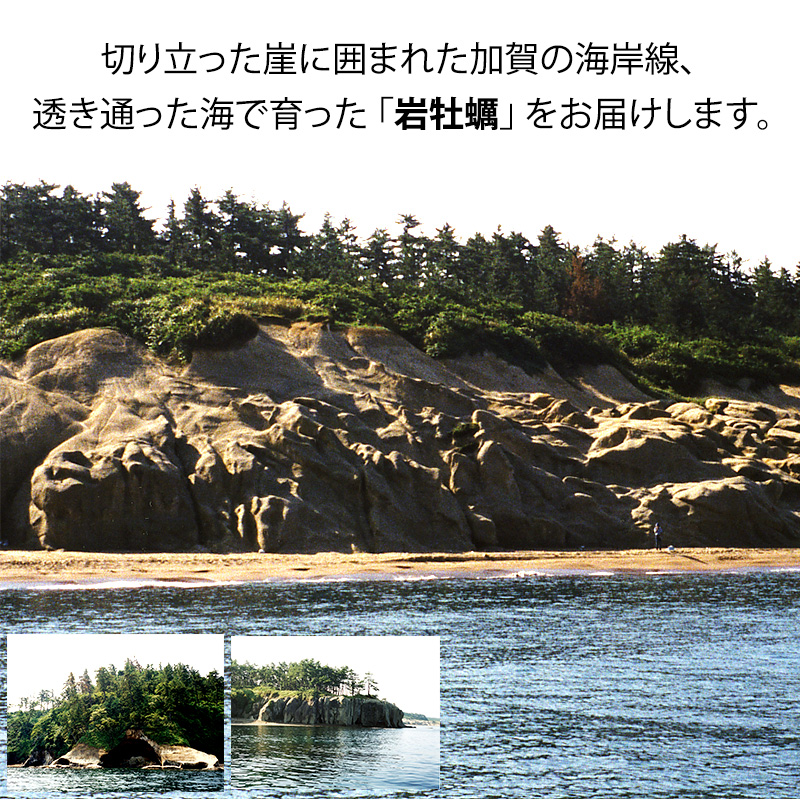 石川県・加賀市 岩牡蠣 岩かき ( 天然 殻付き 生食用 ) 中サイズ 10個 F6P-0973