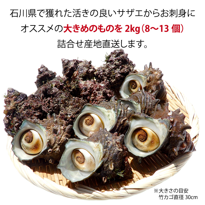 ãå
è¡äºçŽãç³å·çã»å è³åž 掻ããã ( å€©ç¶ çé£çš ) 倧ãµã€ãº 2kg 8ïœ13å è©°åãïŒ2025幎7æäžæ¬ã2025幎8æäžæ¬é çºéïŒ F6P-0993