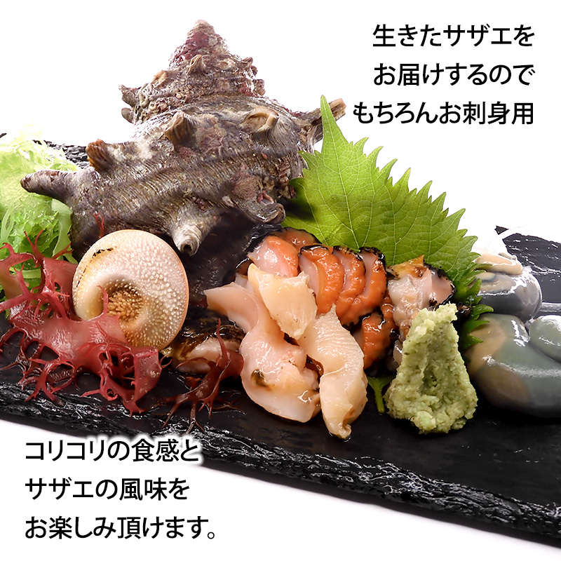 ãå
è¡äºçŽãç³å·çã»å è³åž 掻ããã ( å€©ç¶ çé£çš ) 倧ãµã€ãº 2kg 8ïœ13å è©°åãïŒ2025幎7æäžæ¬ã2025幎8æäžæ¬é çºéïŒ F6P-0993