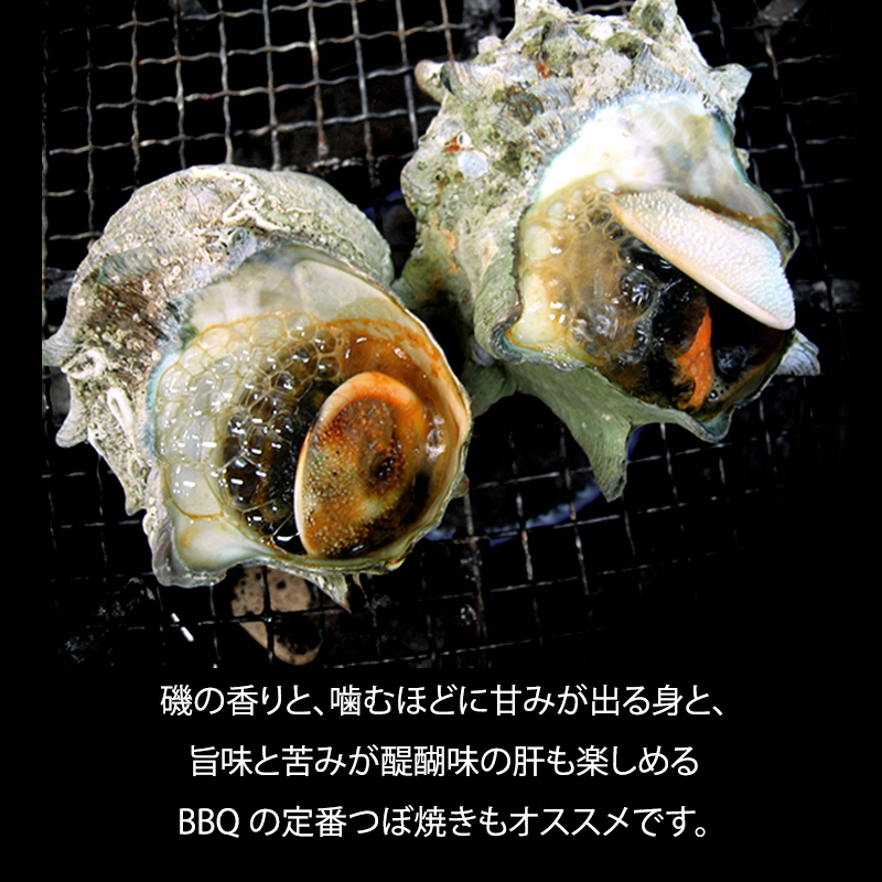 ãå
è¡äºçŽãç³å·çã»å è³åž 掻ããã ( å€©ç¶ çé£çš ) 倧ãµã€ãº 2kg 8ïœ13å è©°åãïŒ2025幎7æäžæ¬ã2025幎8æäžæ¬é çºéïŒ F6P-0993