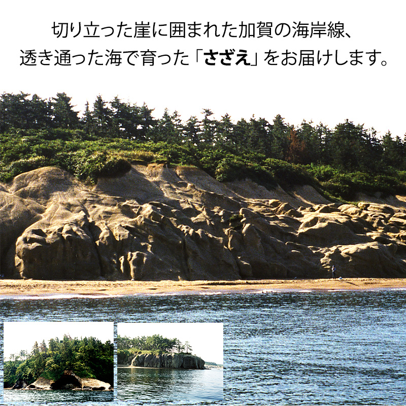 ãå
è¡äºçŽãç³å·çã»å è³åž 掻ããã ( å€©ç¶ çé£çš ) 倧ãµã€ãº 2kg 8ïœ13å è©°åãïŒ2025幎7æäžæ¬ã2025幎8æäžæ¬é çºéïŒ F6P-0993