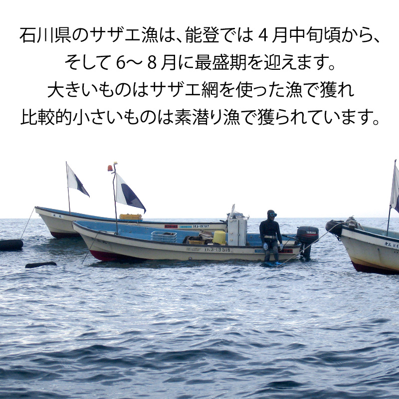 ãå
è¡äºçŽãç³å·çã»å è³åž 掻ããã ( å€©ç¶ çé£çš ) 倧ãµã€ãº 2kg 8ïœ13å è©°åãïŒ2025幎7æäžæ¬ã2025幎8æäžæ¬é çºéïŒ F6P-0993