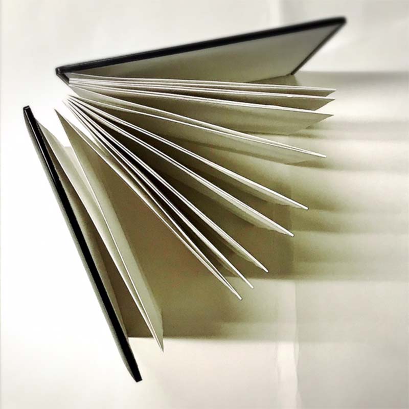 蜉雉螻ア荳ュ蝪 貍闃ク蠕。蝓主魂蟶ウ F6P-2037