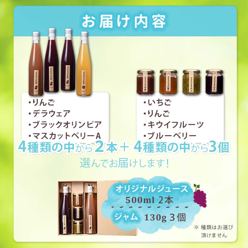 オリジナルジュース　500ml×2本とジャム140g×3個セット F6P-1815