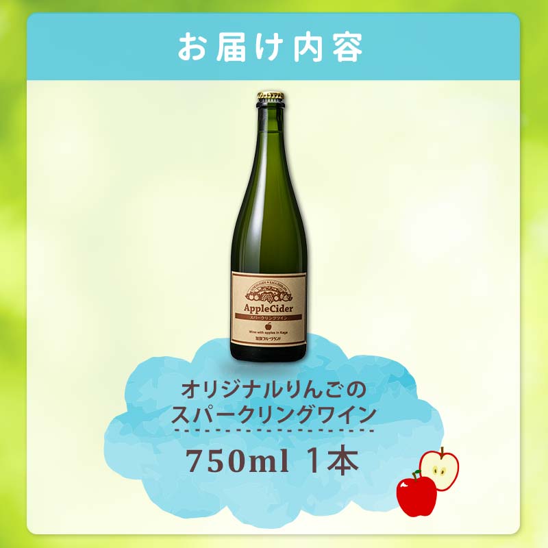 オリジナルりんごのスパークリングワイン　750ml×1本 F6P-1818
