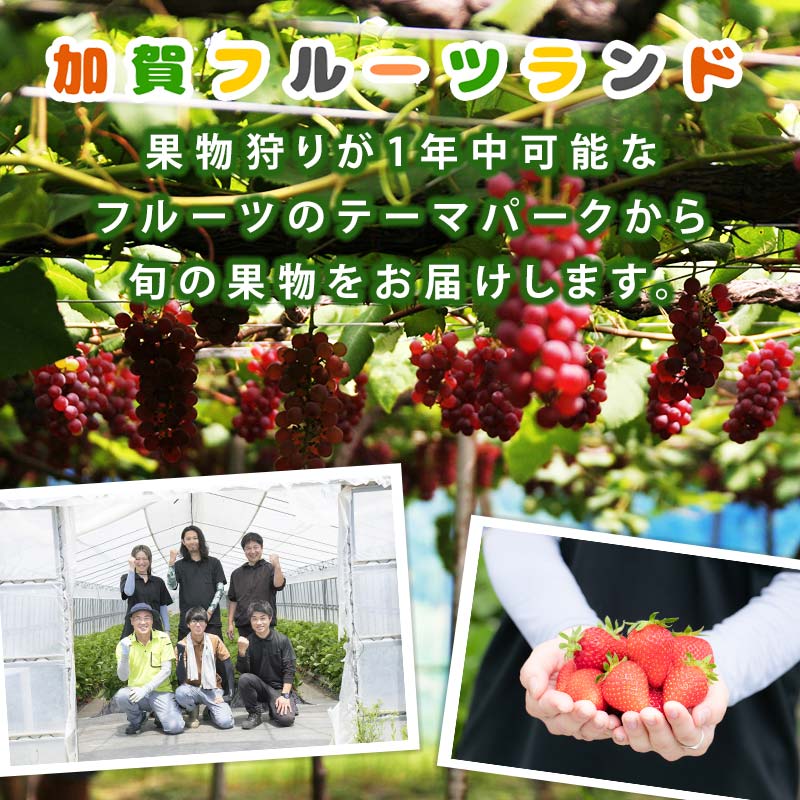 繧ェ繝ェ繧ク繝翫Ν繧翫s縺斐ョ繧ケ繝代シ繧ッ繝ェ繝ウ繧ー繝ッ繧、繝ウ縲750mlテ1譛ャ F6P-1818