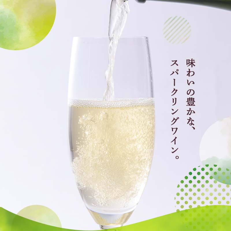 オリジナルりんごのスパークリングワイン　750ml×2本 F6P-1819