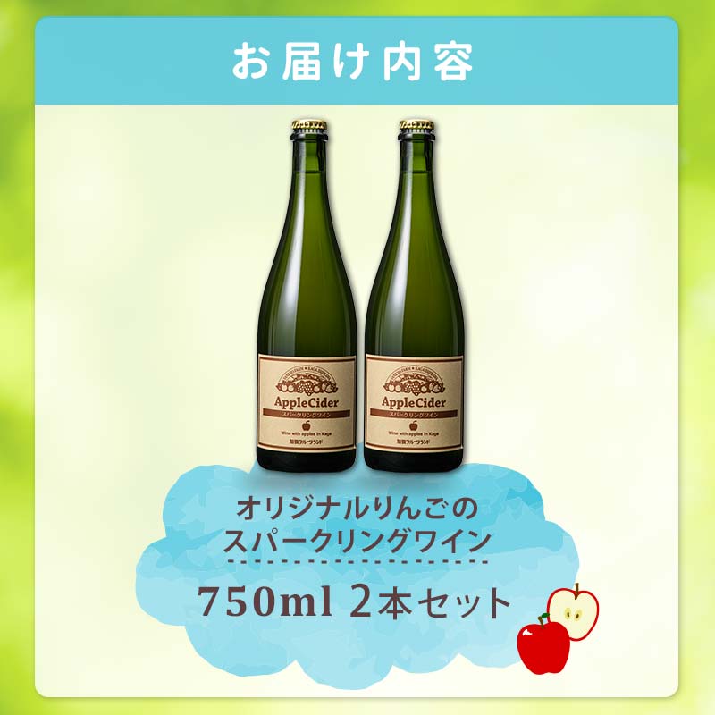 オリジナルりんごのスパークリングワイン　750ml×2本 F6P-1819