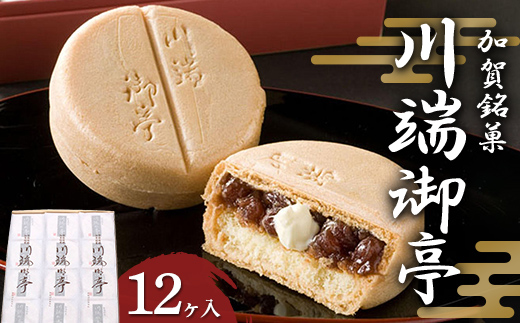 蜉雉驫倩藷 蟾晉ォッ蠕。莠ュ 12繝カ蜈・ F6P-2519