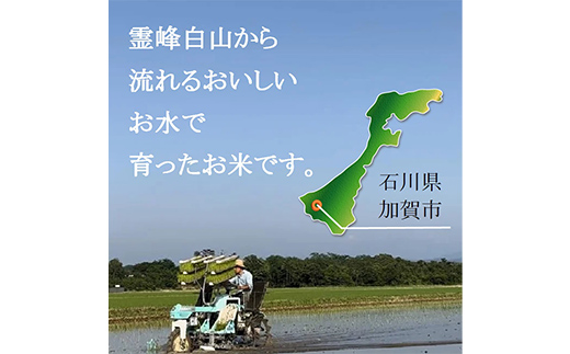 自然栽培米（白米2kg×2種）旭・初霜・コシヒカリのうちいずれか2種 お米 ごはん 農薬不使用 F6P-1938