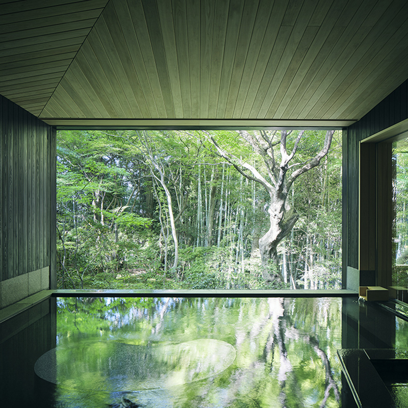 ã¹ã«ãç¡äœæ 宿æ³è£å©åž 105,000åçžåœ é²å€©é¢šå æž©æ³ å®¿æ³åž æ
è¡ ãã©ãã« å®¿æ³ å®¿æ³æœèš 宿 ã¬ãžã£ãŒ F6P-1950