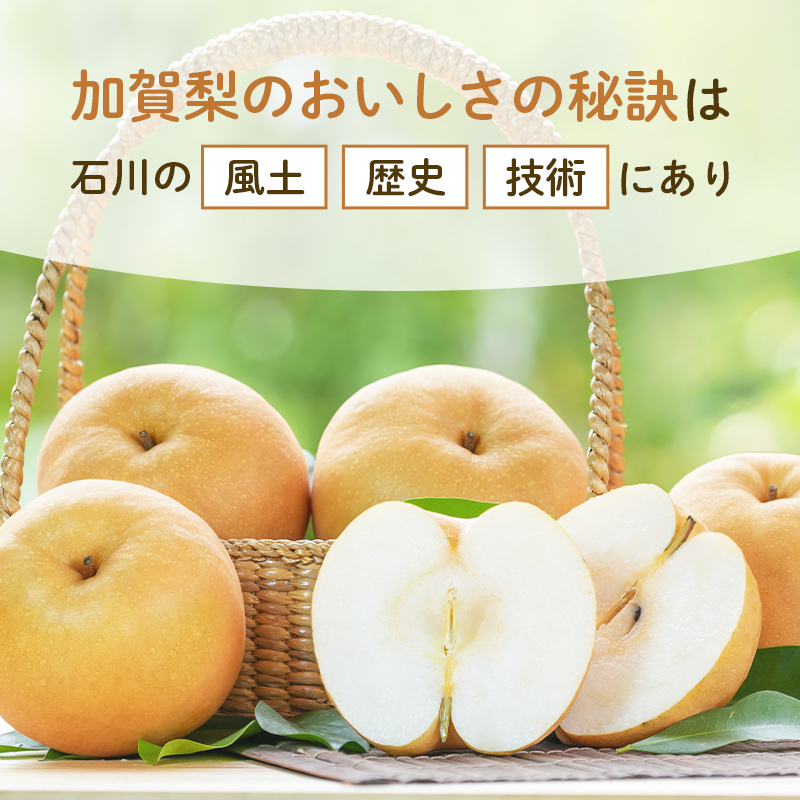 ã2026幎å
è¡äºçŽããèš³ãããæ¢š çŠè¢ 5kg æ¬ã®åçš®ã1åçš®ãå±ã ãã ãã® æç© ãã«ãŒã ãåœå° é£å æ°æ°Ž ãªã€ããã 幞氎 è±æ°Ž ããã¥ã æ°é« æ°è æå® F6P-2945