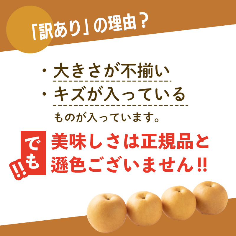 ã2026幎å
è¡äºçŽããèš³ãããæ¢š çŠè¢ 5kg æ¬ã®åçš®ã1åçš®ãå±ã ãã ãã® æç© ãã«ãŒã ãåœå° é£å æ°æ°Ž ãªã€ããã 幞氎 è±æ°Ž ããã¥ã æ°é« æ°è æå® F6P-2945