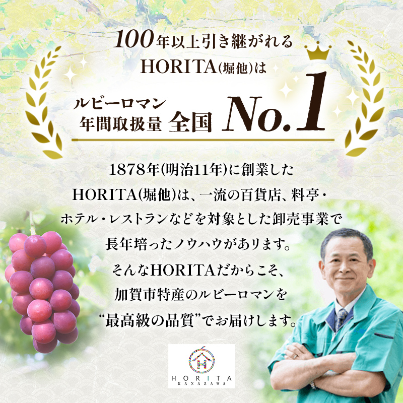 【先行予約】ルビーロマン 1房 500g（令和7年8月中旬～9月上旬頃順次発送） ぶどう ブドウ 大粒 先行予約 予約 冷蔵配送 くだもの 果物 フルーツ ご当地 食品 F6P-2104