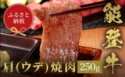 【和牛セレブ】能登牛　牛肩（ウデ） 焼肉 250g	 牛肉 最高級 肩肉 うで肉 シャクシ 焼肉 黒毛和牛 能登牛 和牛セレブ F6P-2142