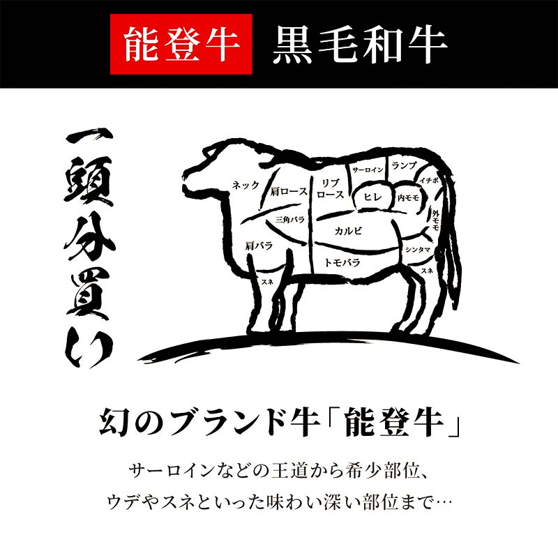 【和牛セレブ】能登牛 一頭買い（12分割配送） 【2026年1月以降発送】牛肉 最高級 一頭買い 黒毛和牛 能登牛 和牛セレブ F6P-2157