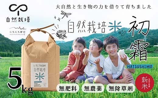 循環農法・自然栽培【令和6年産】幻の米「初霜（はつしも）」 白米（5kg）※肥料・農薬・除草剤不使用 お米 米 国産米 ギフト 贈り物 グルメ 食品 国産 復興 震災 コロナ 能登半島地震復興支援 北陸新幹線 F6P-2319