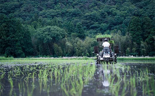 循環農法・自然栽培【令和6年産】幻の米「初霜（はつしも）」 白米（5kg）※肥料・農薬・除草剤不使用 お米 米 国産米 ギフト 贈り物 グルメ 食品 国産 復興 震災 コロナ 能登半島地震復興支援 北陸新幹線 F6P-2319