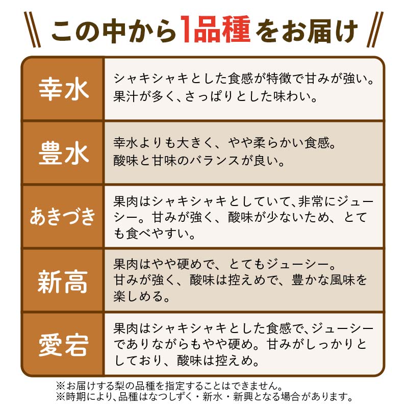【2026年先行予約】【訳あり】梨 福袋 5kg 旬の品種を1品種お届け くだもの 果物 フルーツ ご当地 食品 新水 なつしずく 幸水 豊水 あきづき 新高 新興 愛宕 F6P-2945