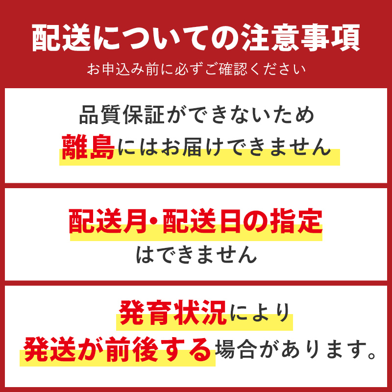 【先行予約】梨 加賀しずく 1箱（6個～10個）石川県加賀市産（2026年8月下旬～9月中旬頃発送） かがしずく ブランド梨 石川県 先行予約 予約 冷蔵配送 くだもの 果物 フルーツ ご当地 食品 災害支援 北陸新幹線 F6P-1951