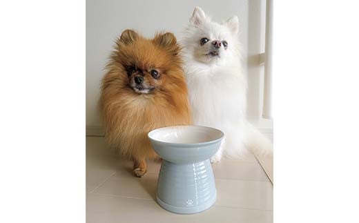 縺ソ繧繧上s 閼壻サ倥″繝輔シ繝峨懊え繝ォ シ費シ暦シ シケシ・(繧、繧ィ繝ュ繝シ) F6P-2488