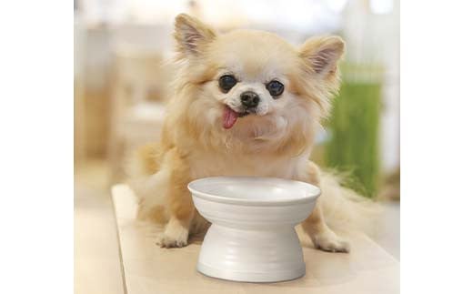 みやわん 脚付きフードボウル １７５ ＢＬ(ブルー) F6P-2506