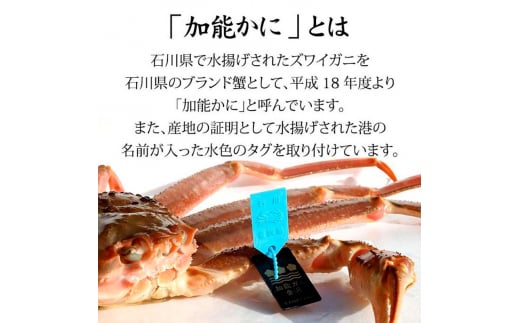 石川県産 加能かに ズワイガニ ( 産地証明タグ付 ) 大サイズ 2匹 + 香箱かに 5匹 詰合せ ( 4～5人前 ) 12月16日～12月26日発送 食べ比べ セット ズワイガニ F6P-2767