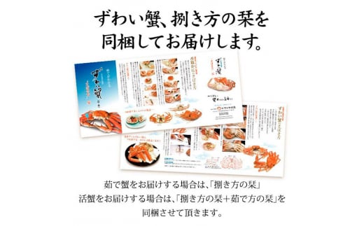 石川県産 加能かに ズワイガニ ( 産地証明タグ付 ) 大サイズ 2匹 + 香箱かに 5匹 詰合せ ( 4～5人前 ) 12月16日～12月26日発送 食べ比べ セット ズワイガニ F6P-2767