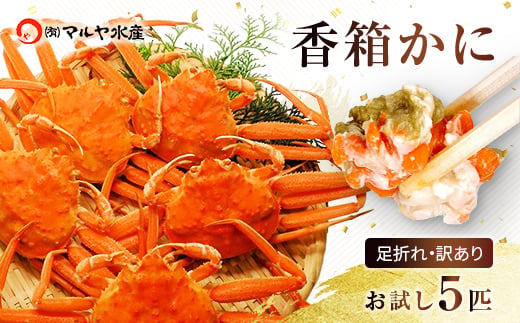 石川県産 香箱蟹 せいこ 訳あり 小さめ 5匹 詰合せ 11月10日～12月15日発送  浜茹で 産地直送 F6P-2772