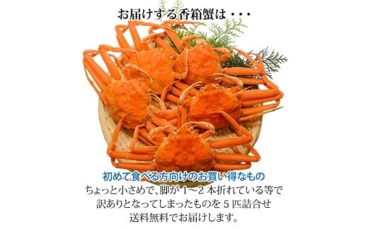 石川県産 香箱蟹 せいこ 訳あり 小さめ 5匹 詰合せ 11月10日～12月15日発送  浜茹で 産地直送 F6P-2772