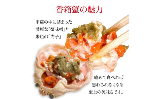 石川県産 香箱蟹 せいこ 訳あり 小さめ 5匹 詰合せ 11月10日～12月15日発送  浜茹で 産地直送 F6P-2772