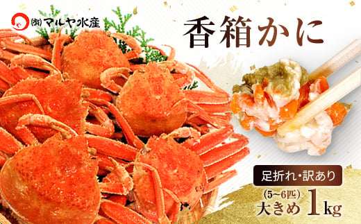 石川県産 香箱蟹 せいこ 訳あり 大きめ 1kg 5～6匹 詰合せ 11月10日～12月15日発送 浜茹で 産地直送 F6P-2774