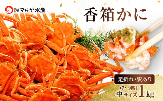 石川県産 香箱蟹 せいこ 訳あり 中サイズ 1kg 7～9匹 詰合せ 11月10日～12月15日発送 浜茹で 産地直送 F6P-2776