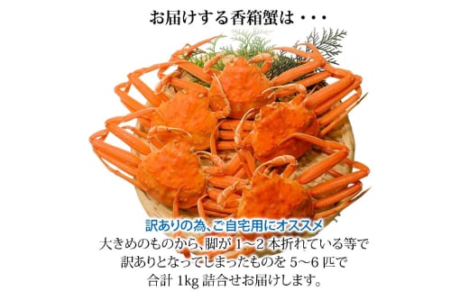 石川県産 香箱蟹 せいこ 訳あり 中サイズ 1kg 7～9匹 詰合せ 11月10日～12月15日発送 浜茹で 産地直送 F6P-2776