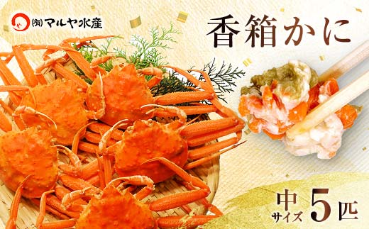 石川県産 香箱蟹 せいこ 中サイズ 5匹 詰合せ 11月10日～12月15日発送 F6P-2770