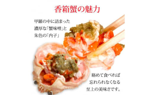 石川県産 香箱蟹 せいこ 中サイズ 5匹 詰合せ 11月10日～12月15日発送 F6P-2770