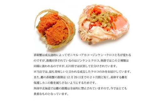 石川県産 香箱蟹 せいこ 中サイズ 5匹 詰合せ 12月16日～12月26日発送 F6P-2771