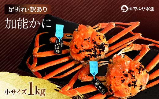 石川県産 加能かに ズワイガニ ( 産地証明タグ付 ) 訳あり 足折れ 小サイズ 2～3匹 合計1.0kg 1月20日～ 3月31日発送 産地証明 訳あり 家庭用 自宅用 足折れ 先行予約 予約 ブランド蟹 ボイル 茹で 蟹 復興 震災 コロナ 能登半島地震復興支援 北陸新幹線 F6P-2780