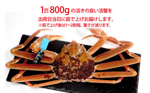 ã11æ10æ¥ïœ12æ15æ¥çºéããå
è¡äºçŽããå·èµçºéãç³å·çç£ å èœãã« ãºã¯ã€ã¬ã ( ç£å°èšŒæã¿ã°ä» ) è¹ã§äžãåéé çŽ800g 1å¹ ç¹å€§ãµã€ãº F6P-2753