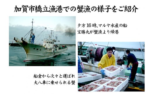 ã11æ10æ¥ïœ12æ15æ¥çºéããå
è¡äºçŽããå·èµçºéãç³å·çç£ å èœãã« ãºã¯ã€ã¬ã ( ç£å°èšŒæã¿ã°ä» ) è¹ã§äžãåéé çŽ800g 1å¹ ç¹å€§ãµã€ãº F6P-2753