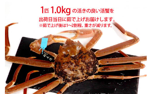 ã11æ10æ¥ïœ12æ15æ¥çºéããå
è¡äºçŽããå·èµçºéãç³å·çç£ å èœãã« ãºã¯ã€ã¬ã ( ç£å°èšŒæã¿ã°ä» ) è¹ã§äžãåéé çŽ1.0kg 1å¹ ç¹å€§ãµã€ãº F6P-2759