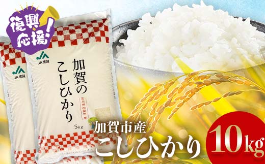 【12月発送】復興応援米 令和7年産こしひかり 10kg(5kg×2袋) 精米 銘柄米 お米 米 ギフト 贈り物 グルメ 食品 復興 震災 コロナ 能登半島地震 復興支援 北陸新幹線 F6P-2928