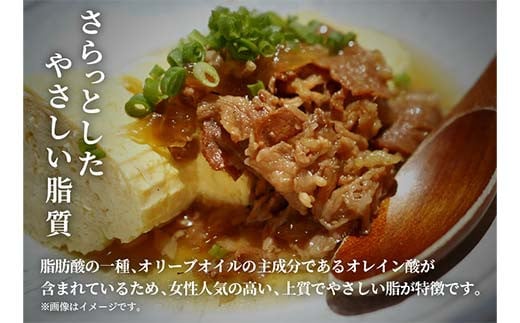 【和牛セレブ】能登牛 切り落とし 1kg（500g×2P）【2026年1月以降発送】牛 牛肉 ビーフ 肉 黒毛和牛 能登牛 和牛セレブ F6P-2530