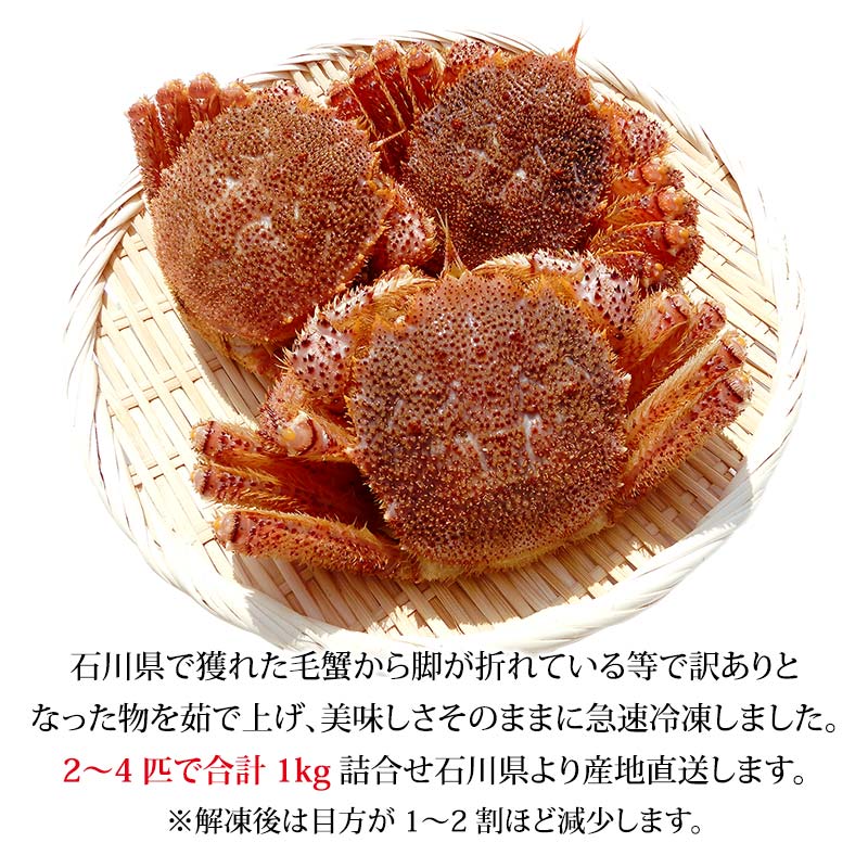 æ¯ã¬ã æ¯è¹ èš³ãã 2ã4å¹ 1.0kg ã»ãã ç³å·çç£ è¹ã§è¹ F6P-3033