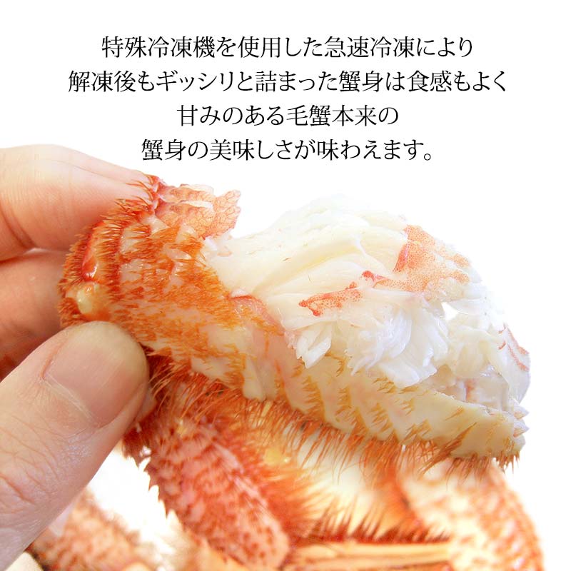 æ¯ã¬ã æ¯è¹ èš³ãã 2ã4å¹ 1.0kg ã»ãã ç³å·çç£ è¹ã§è¹ F6P-3033