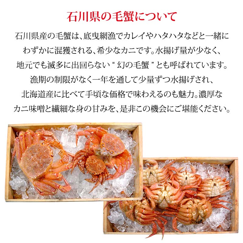 æ¯ã¬ã æ¯è¹ èš³ãã 4ã8å¹ 2.0kg ã»ãã ç³å·çç£ è¹ã§è¹ F6P-3034