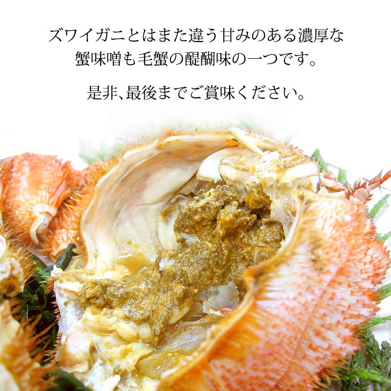 æ¯ã¬ã æ¯è¹ èš³ãã 4ã8å¹ 2.0kg ã»ãã ç³å·çç£ è¹ã§è¹ F6P-3034