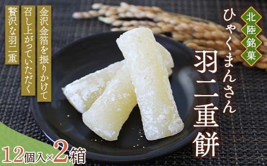 北陸銘菓 ひゃくまんさん羽二重餅 12個入り 2箱 金沢 金箔 ひゃくまんさん 羽二重餅 菓子 和菓子 お茶菓子 お茶請け F6P-3063